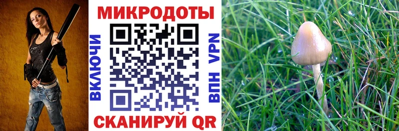 Галлюциногенные грибы Psilocybe  Красноуфимск 