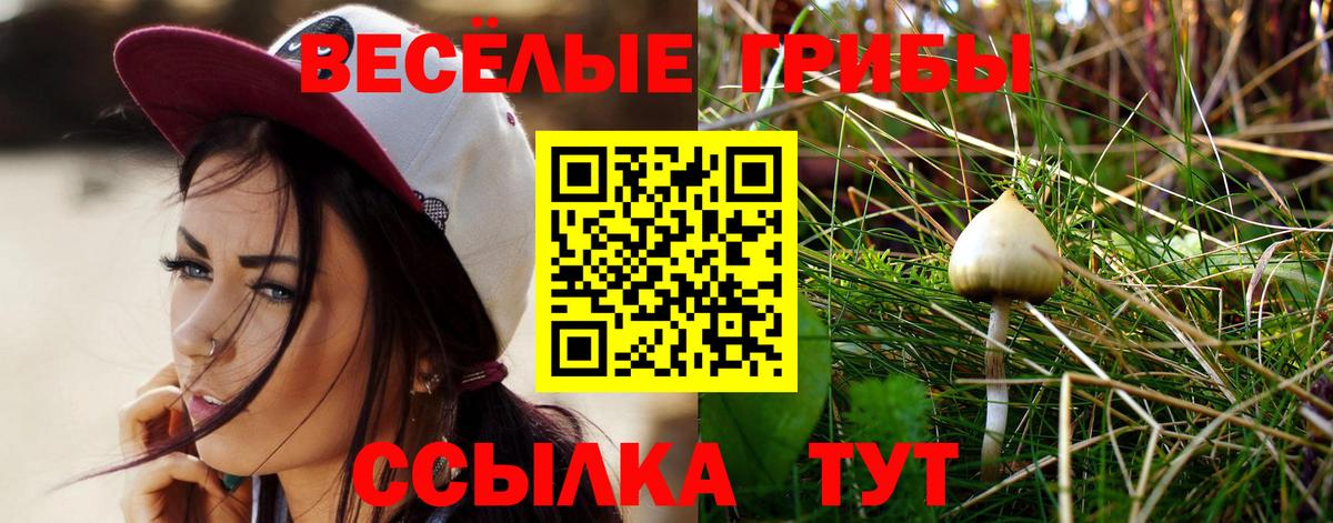 Галлюциногенные грибы Psilocybe  Вход с VPN  Красноуфимск 